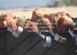 Вбудована мініатюра для Посмажили шашлики - заплатіть штраф!