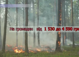 Вбудована мініатюра для Спалювання листя, трави, гілок, сміття – ЗАБОРОНЕНО!