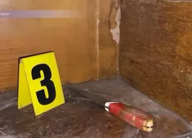 Вбудована мініатюра для Жахливе вбивство. Двоє жителів Могилева-Подільського вбили жінку і викинули тіло на смітник