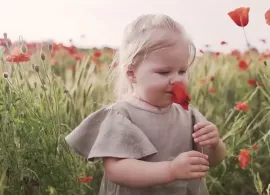 Вбудована мініатюра для Могилів-Подільський в лідерах області по народжуваності дітей