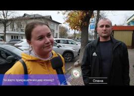 Вбудована мініатюра для ВІДАфон: Чи варто прикрашати місцеву ялинку?